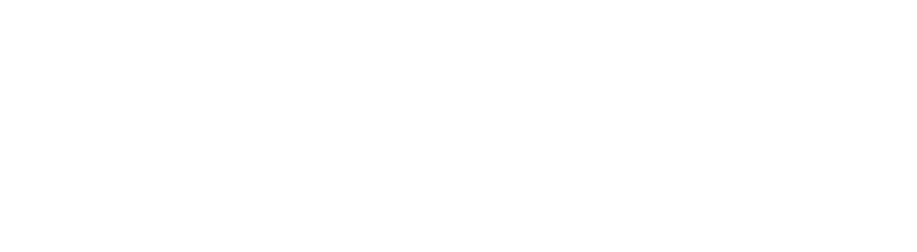 Solo Leveling